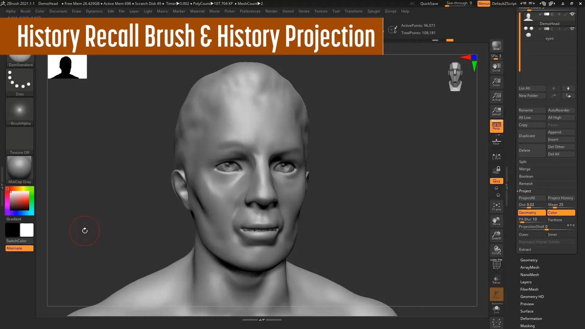 ZBrush 2020/2021 – Integrate dynamic updates ZBrush 2020/2021 – Integrate dynamic updates