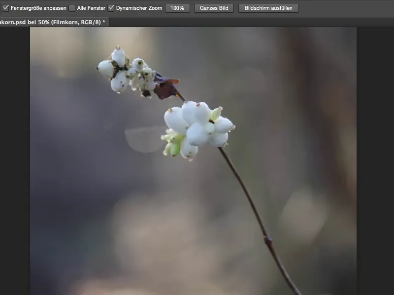 Tampilan & Gaya dengan Photoshop - butiran film buatan