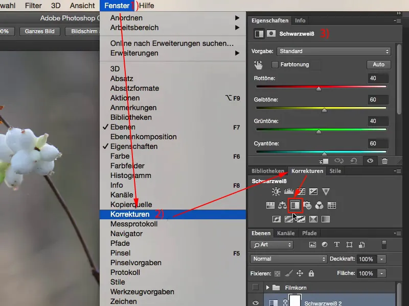 Tampilan & Gaya dengan Photoshop - butiran film buatan