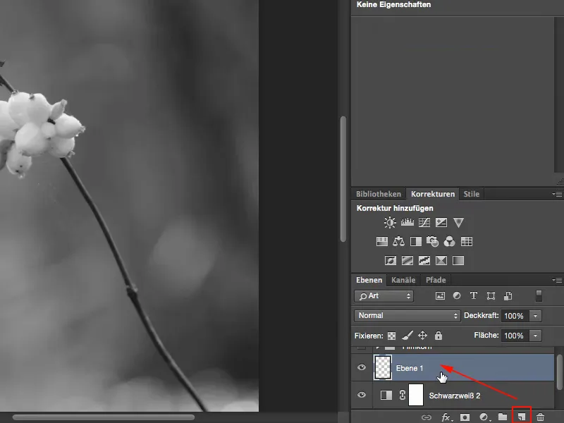 Tampilan & Gaya dengan Photoshop - butiran film buatan