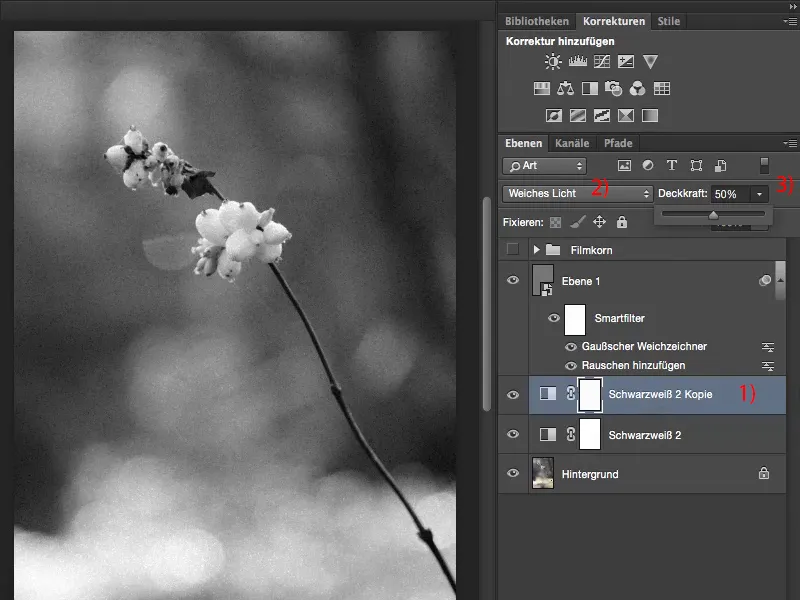 Tampilan & Gaya dengan Photoshop - butiran film buatan