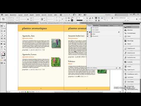 La fonction de niveau dans InDesign