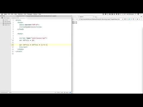 Programmazione software per principianti: 1.5 Commenti