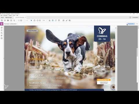 Recettes Acrobat ultra-ac&eacute;r&eacute;es : 1.17 | Activer les commandes utiles via la fonction formulaire