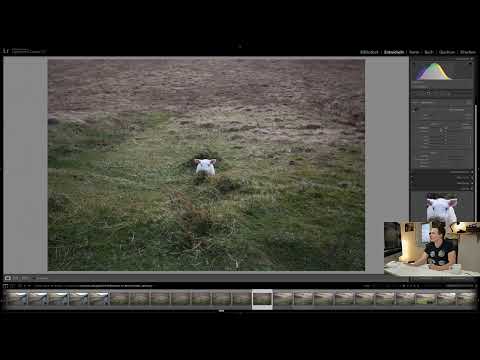 Lightroom Classic CC Tutorial: 5.1 | Intro to the chapter "Local Adjustments"