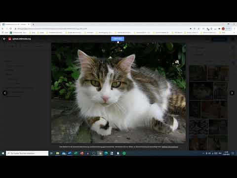Google Dokümanlar Eğitimi: 12.1 | Daha hızlı çalışmak için Keşfetmek