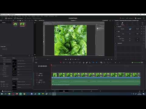 DaVinci Resolve: 9.4 | Hata giderme: DaVinci Resolve'da ses yok