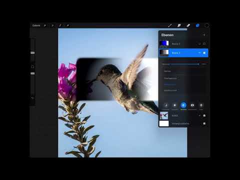 Procreate Tutorial - Basics of digital drawing on the iPad: 3.8 | Layer blending modes: Lighten and Contrast