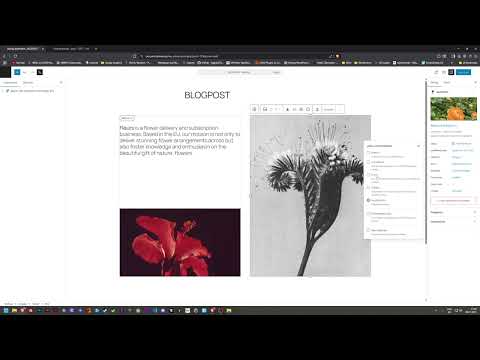 11 - Écris ton premier article de blog