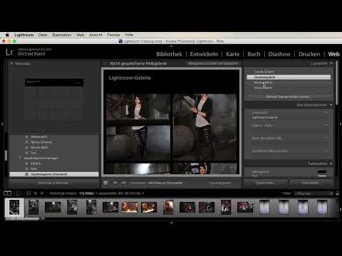 Lightroom'a Yeni Başlayanlar ve Gelişmiş Kullanıcılar: 03 - Denetimler Genel Bakış - 3.7 - Web