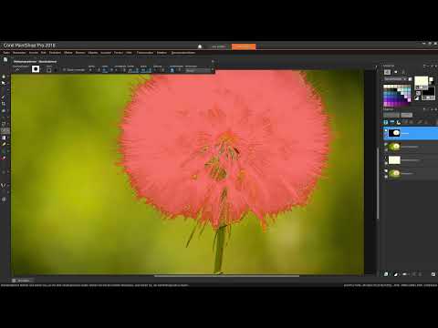 Corel PaintShop Pro-guide: 3.2 | At træffe valg (del to)