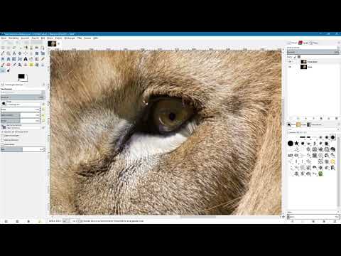 GIMP ile resim düzenleme: Başlangıç için kılavuz – 42 Bulanıklaştırma aracı