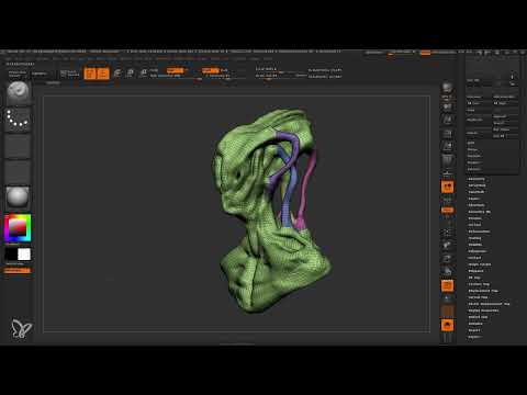ZBrush f&uuml;r Einsteiger: 10.1.3 Workflow I &ndash; ZRemesher