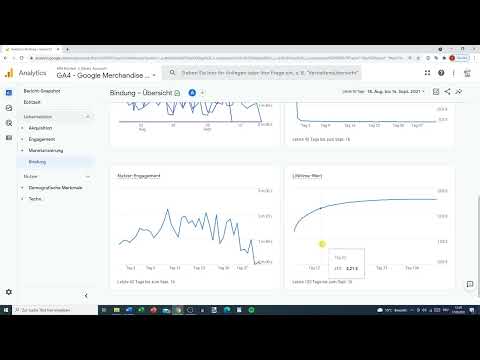 Google Analytics-handledning: 6.6 | Engagemang