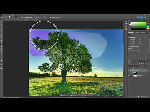 Klipping med Photoshop og AI: 05 | Klipp ut et tre i Photoshop med og uten hjelp fra AI.