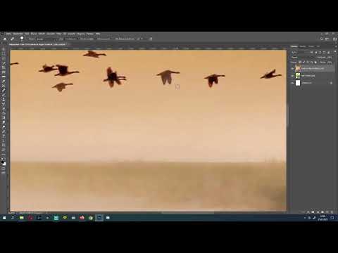Photoshop teknikleri: 2.27 | Nesneleri taşıma