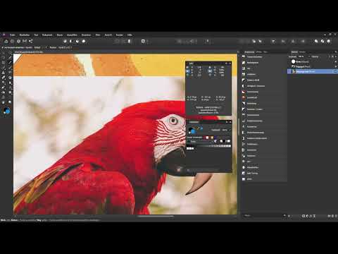 Affinity Photo Eğitimi - Temeller: 3.5 | Renk ölçer