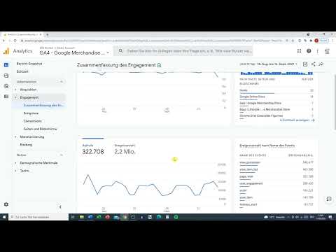 Google Analytics-guide: 6.4 | Rapport Engagemang