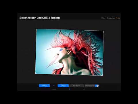 Procreate tutorial - Basics of digital drawing on the iPad: 1.5 | User interface