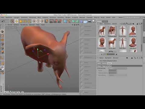 CINEMA 4D'de modelleme - Temel Bilgiler: Bölüm 03 - Basemesh
