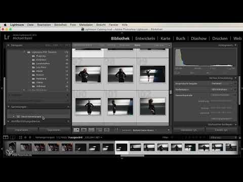 Lightroom'a yeni başlayanlar ve ilerleyenler için: 04 - Katalog - 4.4 - Koleksiyonlar