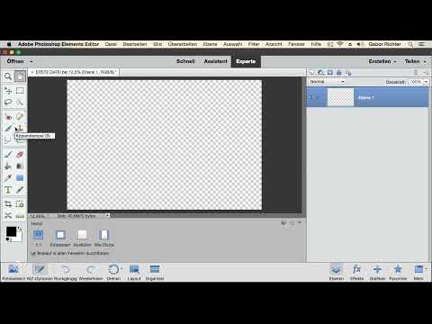 Photoshop Elemanları: 2.4 | Araçlar Genel Bakış