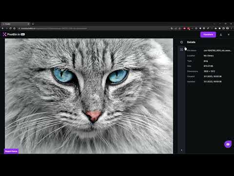 Affinity Photo (Best-of-Hacks): 15 | 2 Farklı Yoldan (Yapay Zeka sayesinde tek tıklamayla çözüm) 1 defiance Photoschaff Fotoğraf) için bir daha enfär…