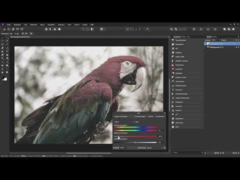 Affinity Foto Eğitimi - Temeller: 4.3 | HSL ve Parlaklık