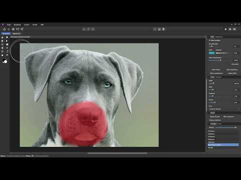 Affinity Photo Eğitimi - Temeller: 5.10 | Şekil Değiştirme