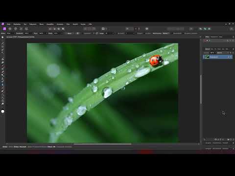 Affinity Photo (Best-of-Hacks): 06 | Renk Anahtarı Etkisi: Renk alanlarını kaldırarak belirli nesneleri vurgulamak.