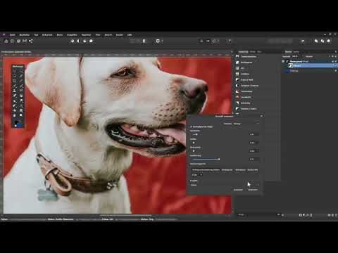 Affinity Photo ile çıkarma: 11 | Kürk düzeltmek