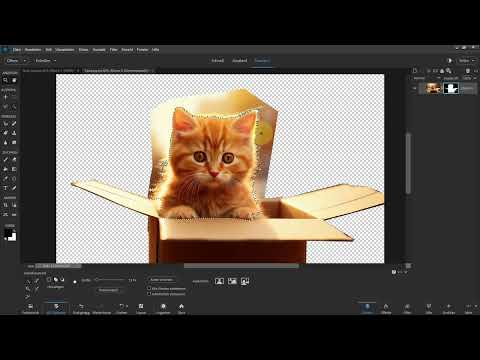 Photoshop Elements ile seçim yapma: 07 | Doğrusal nesneleri çoklu lasso aracıyla kolayca seçin