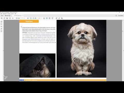 Razor-sharp Acrobat-recepten: 1.16 | Volledig scherm inschakelen bij het openen van de PDF.