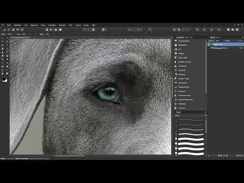 Affinity Photo Eğitimi - Temel Bilgiler: 3.13 | Bulanıklaştırma Aracı