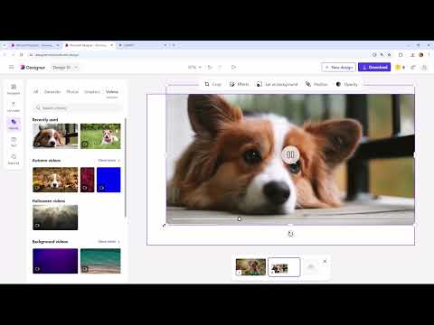 Microsoft Designer: 8.1 | Exportieren von Designs in verschiedenen Formaten