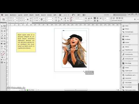 InDesign'deki Doğrudan Seçim Aracı