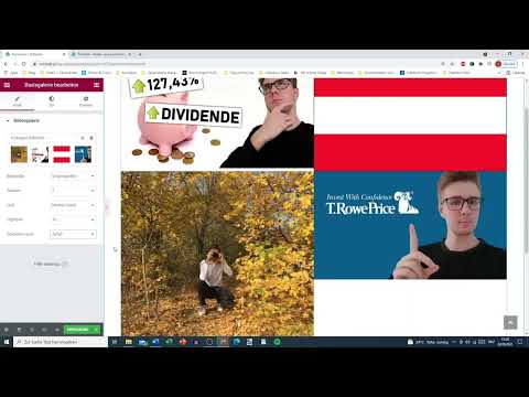 Elementor voor WordPress: 15.5 | Afbeeldingengalerij