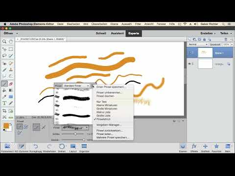 Photoshop Elements: 6.1 | Pensel