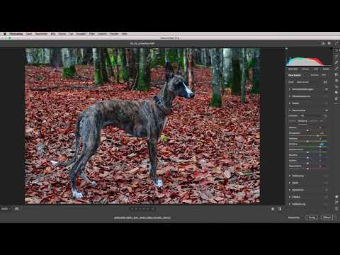 Kamera Raw-Tutorial: 3.2 | Renklendirme