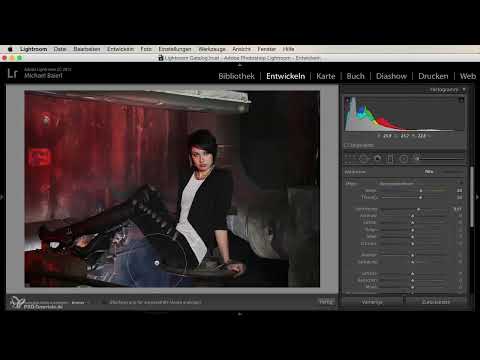 Lightroom için Başlangıç ve İlerleme: 06 - Retuş Araçları - 6.6 - Düzeltme Fırçası
