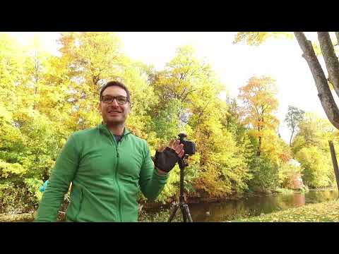 Ambiance automnale avec Lightemotionist - 15 Feuilles tombantes