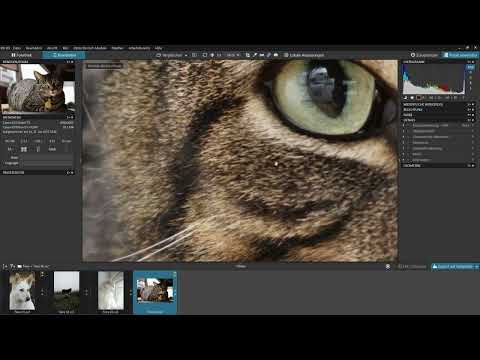 DxO PhotoLab Tutorial: 5.5 | Moiré