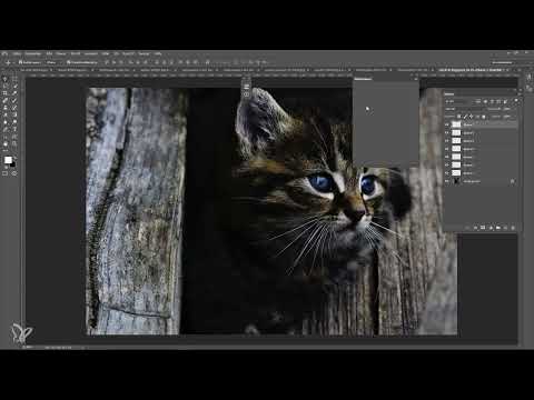 Novedades de Creative Cloud: Photoshop CC 2015.5 (junio de 2016): 05 mejoras en las bibliotecas y en el panel de información.