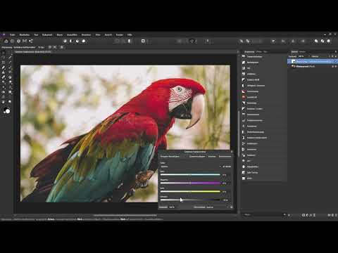 Affinity Photo Eğitimi – Temeller: 4.11 | Seçici Renk Düzeltme