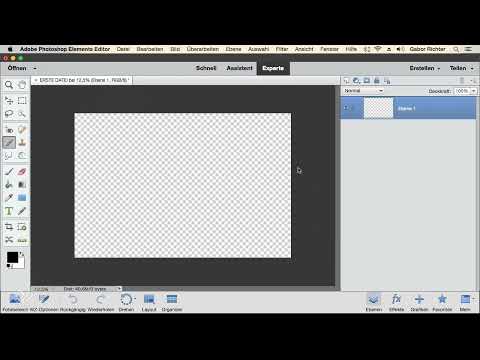 Photoshop Elements: 2.3 | Navigasyon/Çalışma Alanı (hareket etme, yakınlaştırma)