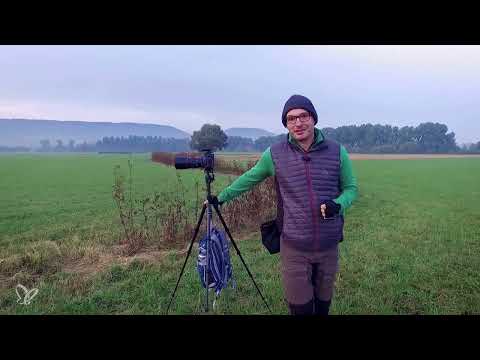Işık duygusallığıyla sonbahar atmosferi – 05 Hazırlık