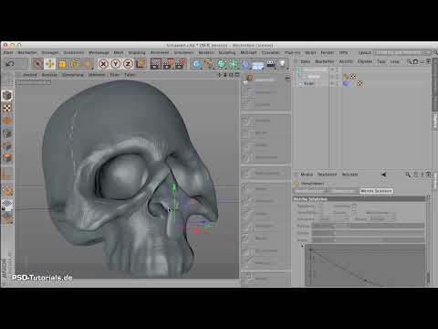 Sculpter dans CINEMA 4D - Formation créative : Partie 14 - Dents