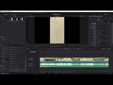 DaVinci Resolve: 7.5 | Rüzgar sesleri azaltılacak