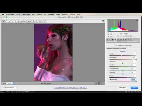 Photoshop ile Görünümler ve Stiller - Ham dönüştürücüdeki Görünümler