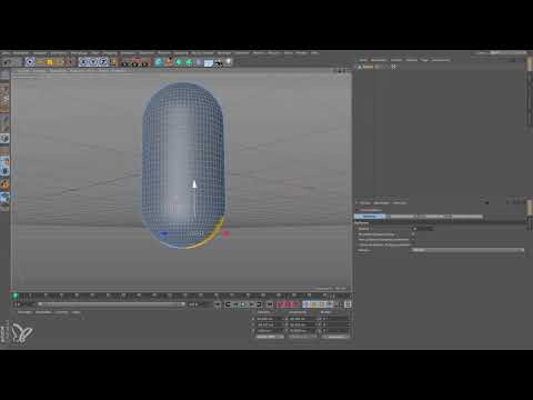 Cinema 4D für Einsteiger – 3D-Praxis: 2.2 Selektieren und Optimieren